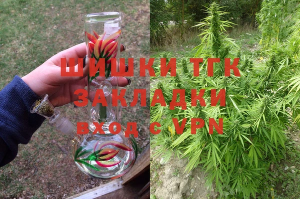 тгк Кодинск