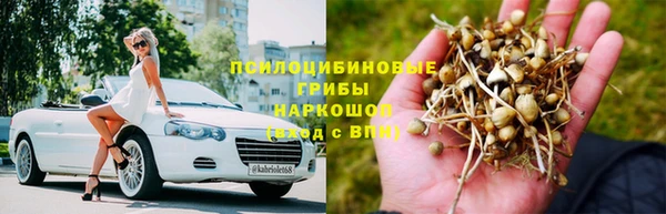 молекула духа Алексин