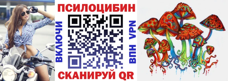 KRAKEN зеркало  Пойковский  Галлюциногенные грибы Psilocybine cubensis 
