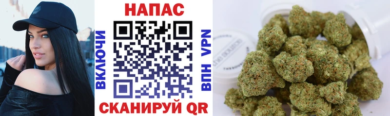 как найти наркотики  Пойковский  Канабис Amnesia 